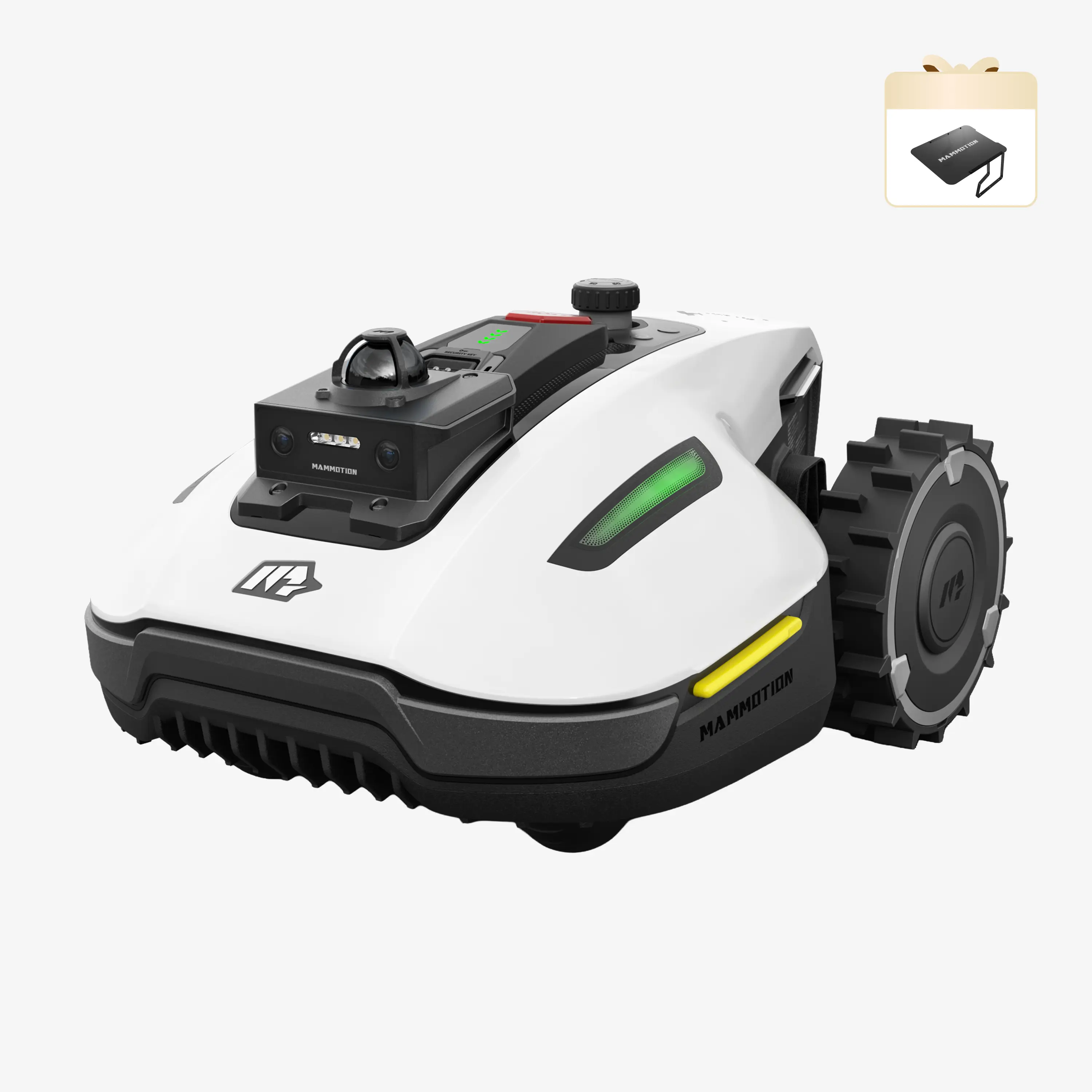 Miniatura 1