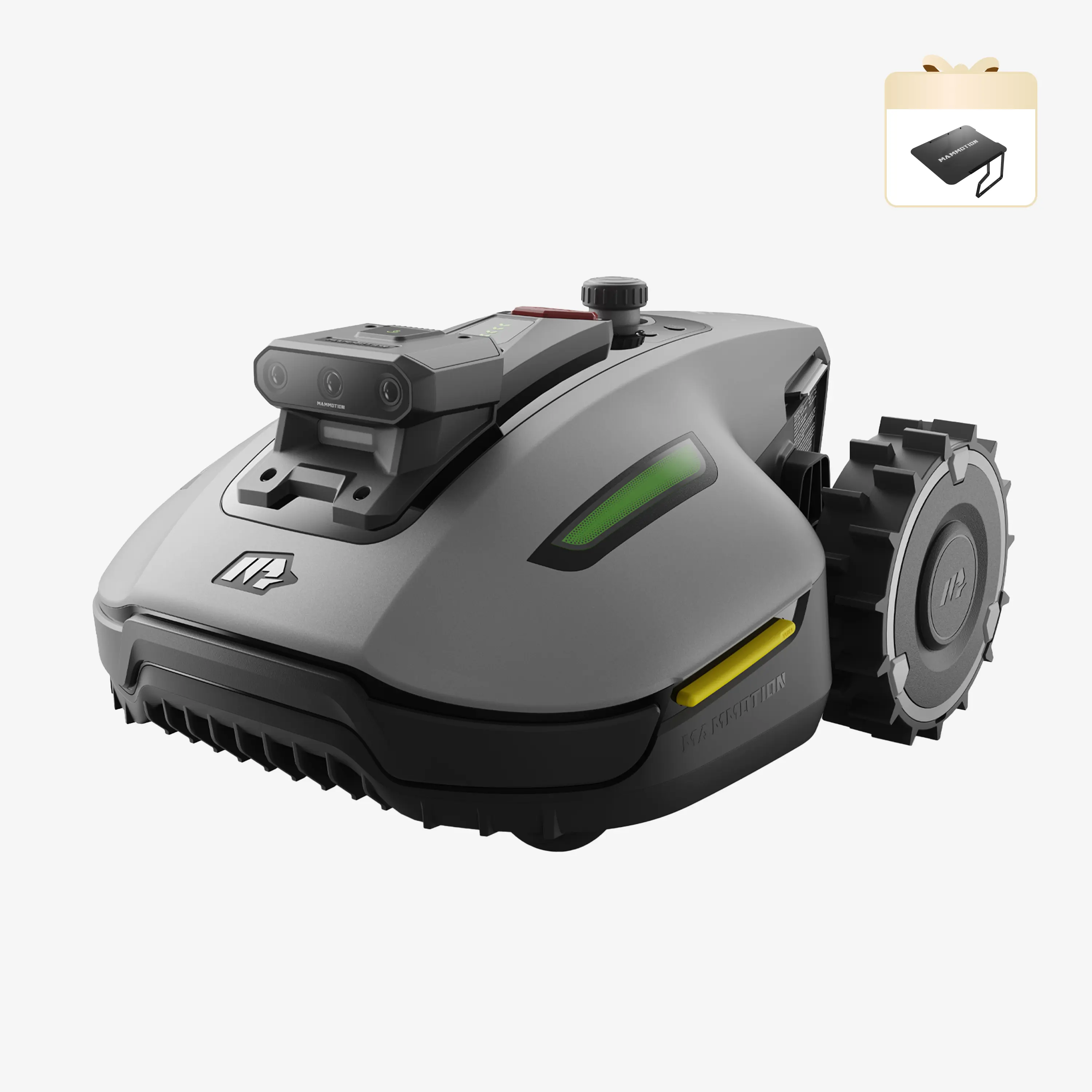 Miniatura 1